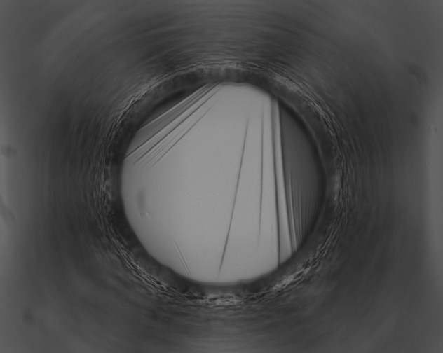 X0000090480870200708031122