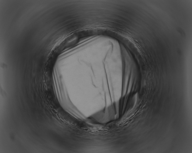 X0000090480871200708031122