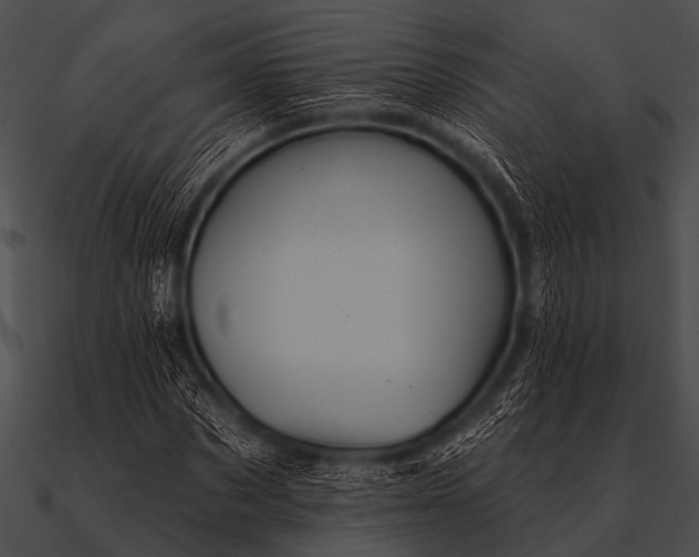 X0000090480873200708031122