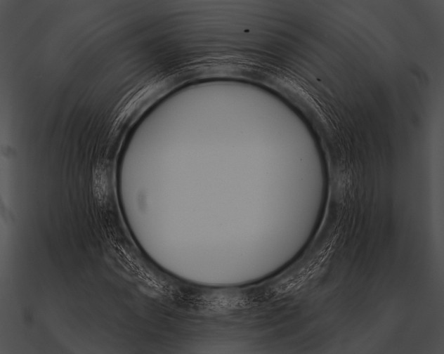 X0000090480874200708031122
