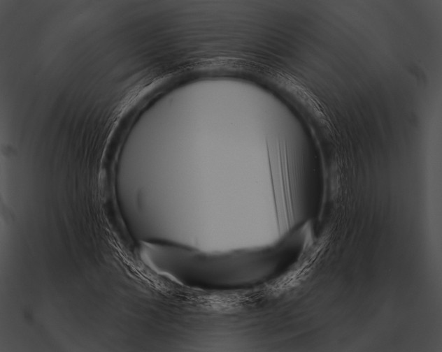 X0000090480876200708031122