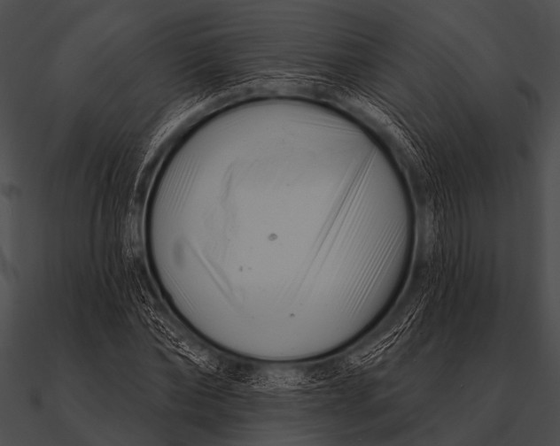 X0000090480878200708031122