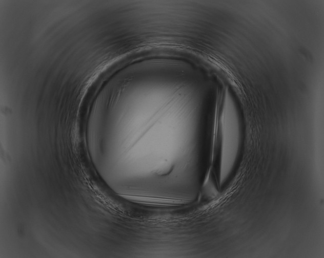 X0000090480880200708031122