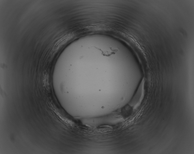 X0000090480881200708031122