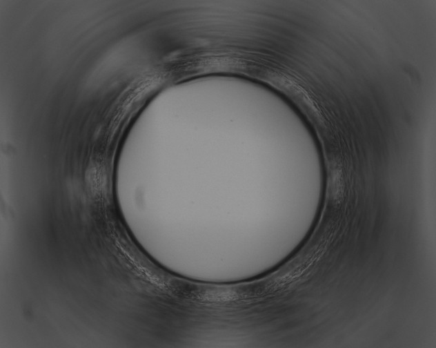 X0000090480882200708031122