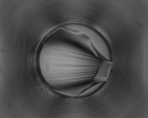 X0000090480884200708031122