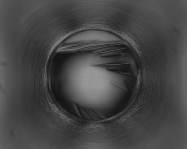 X0000090480888200708031122