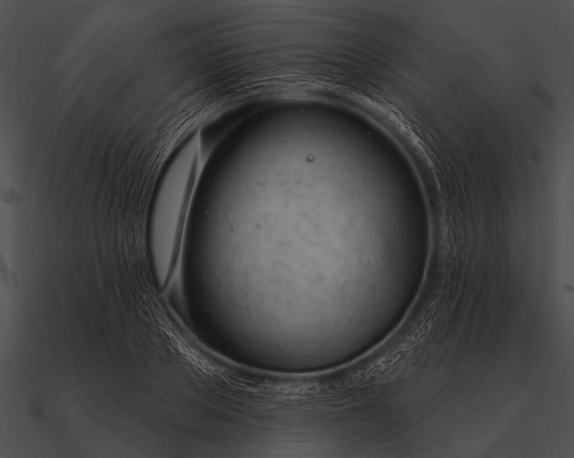 X0000090480889200708031122