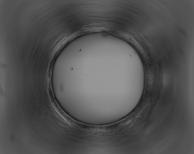 X0000090480890200708031122