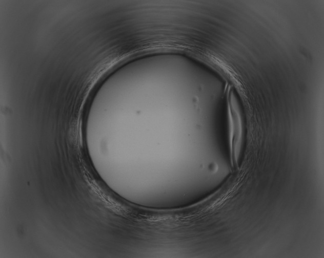 X0000090480892200708031122