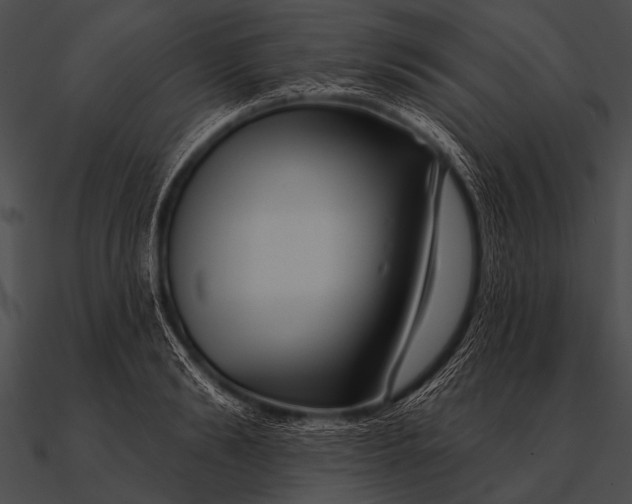 X0000090480894200708031122