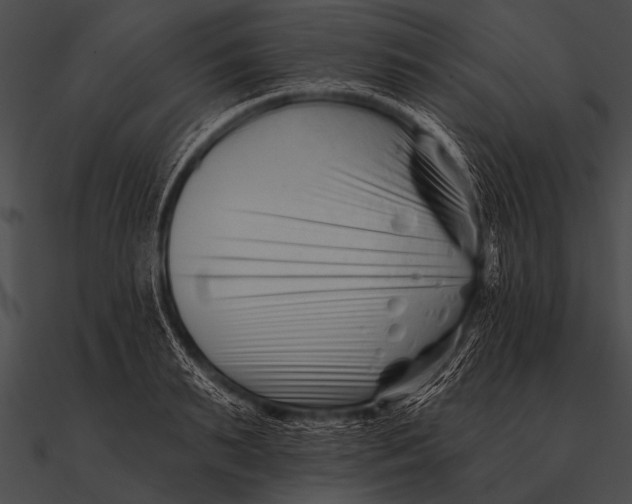 X0000090480895200708031122