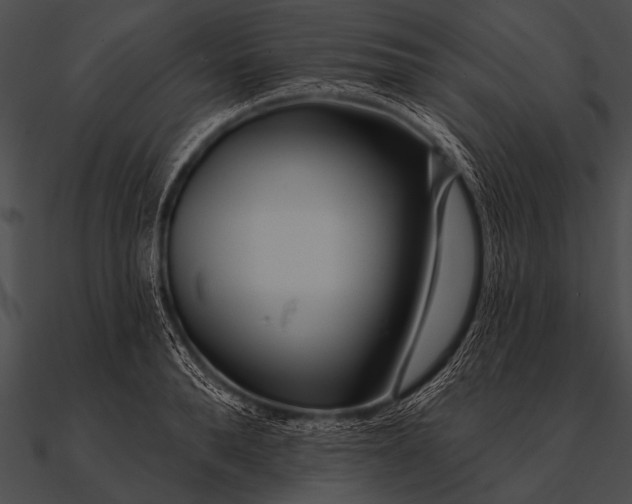 X0000090480896200708031122
