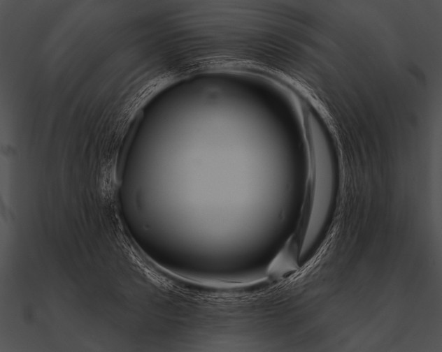 X0000090480897200708031122