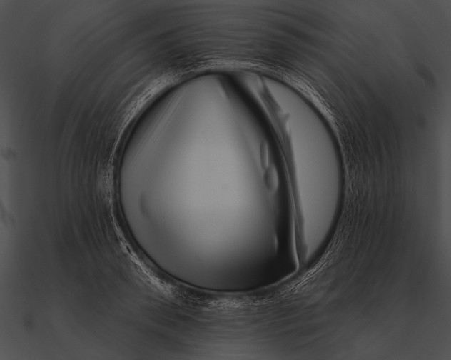 X0000090480898200708031122