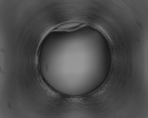 X0000090480900200708031122