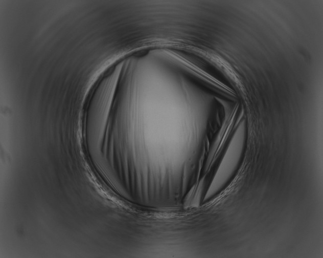 X0000090480904200708031122