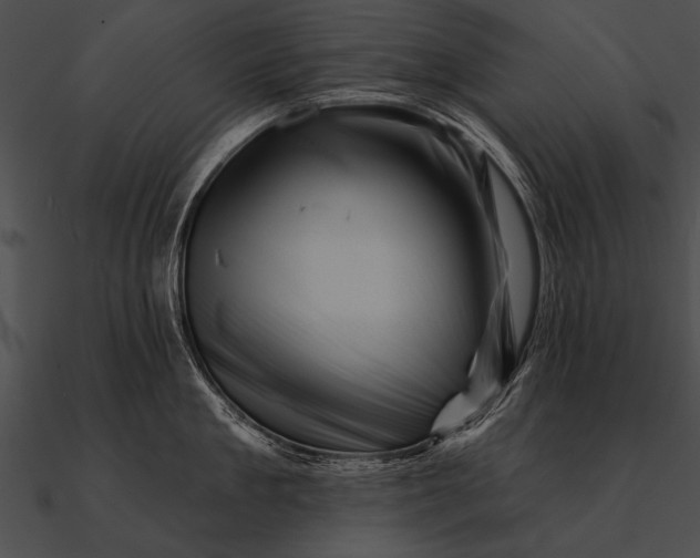 X0000090480909200708031122