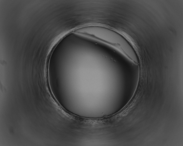 X0000090480910200708031122