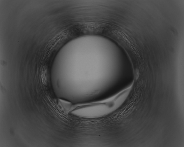 X0000090480915200708031121