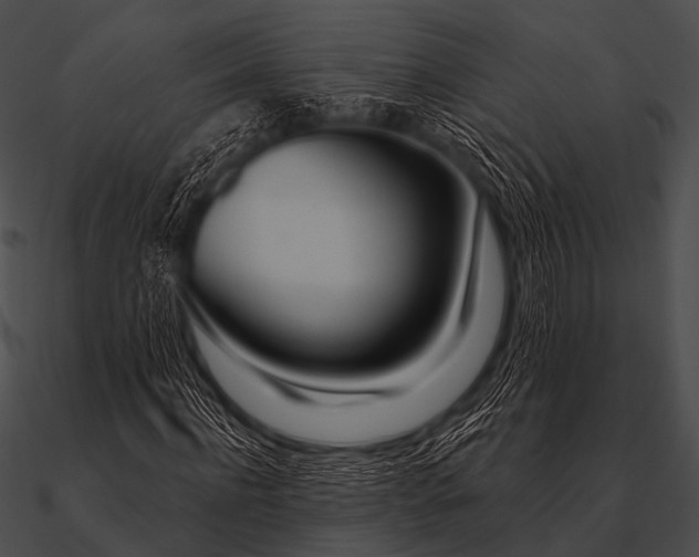 X0000090480916200708031121