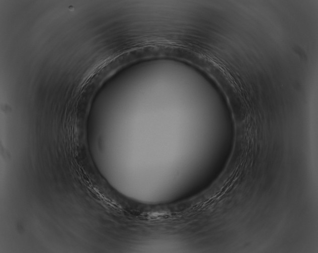 X0000090480919200708031121