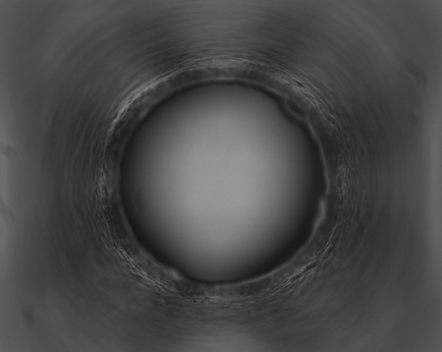 X0000090480920200708031121