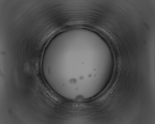 X0000090480921200708031121