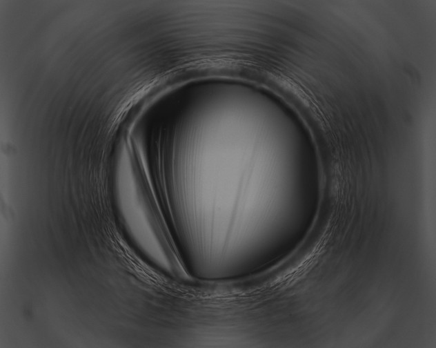 X0000090480922200708031121