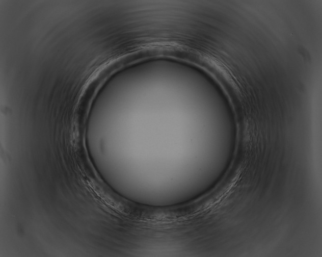X0000090480923200708031121