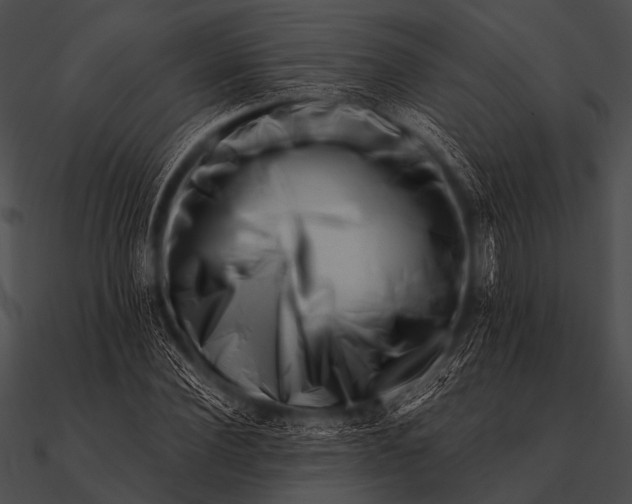 X0000090480924200708031121