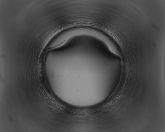 X0000090480926200708031121