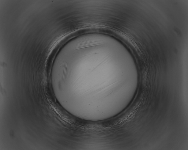 X0000090480927200708031121