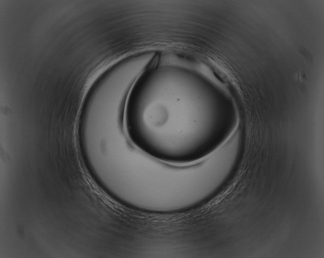 X0000090480928200708031121
