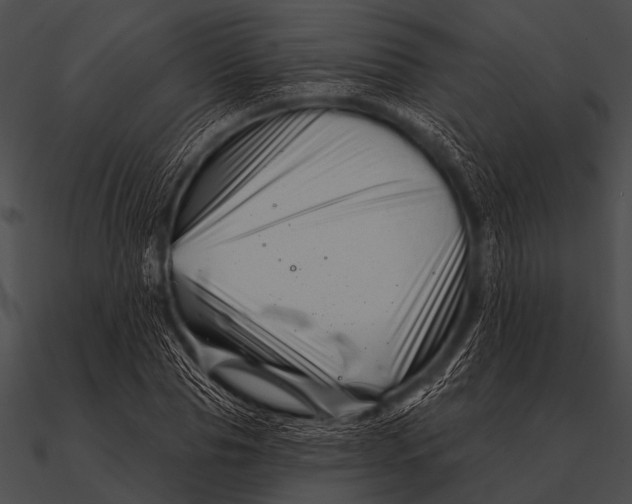X0000090480929200708031121
