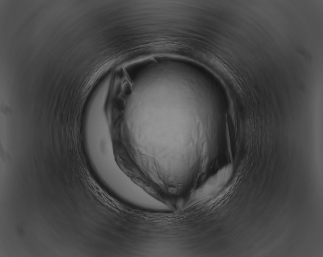 X0000090480930200708031121
