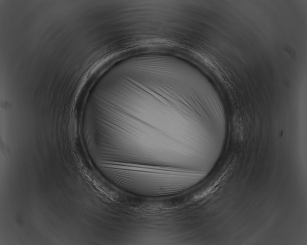 X0000090480931200708031121