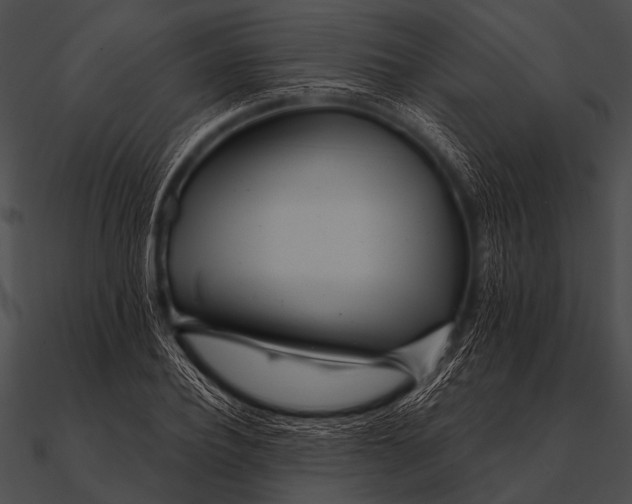 X0000090480932200708031121