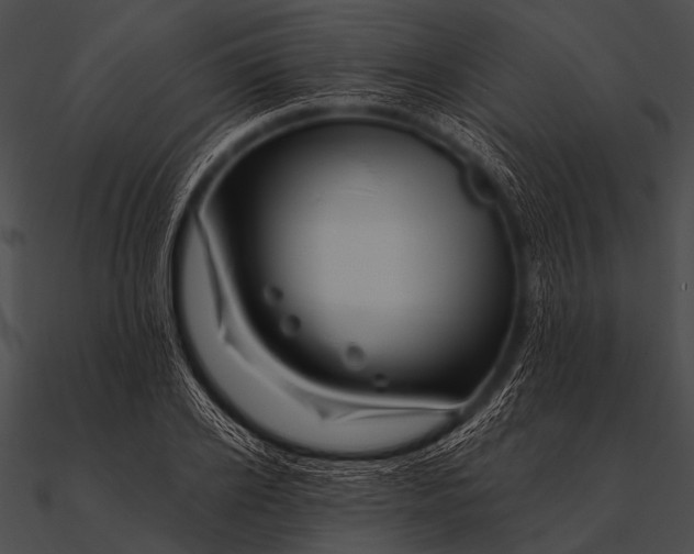 X0000090480934200708031121