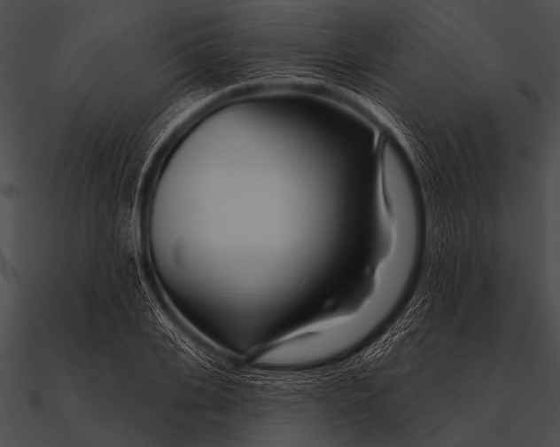 X0000090480935200708031121