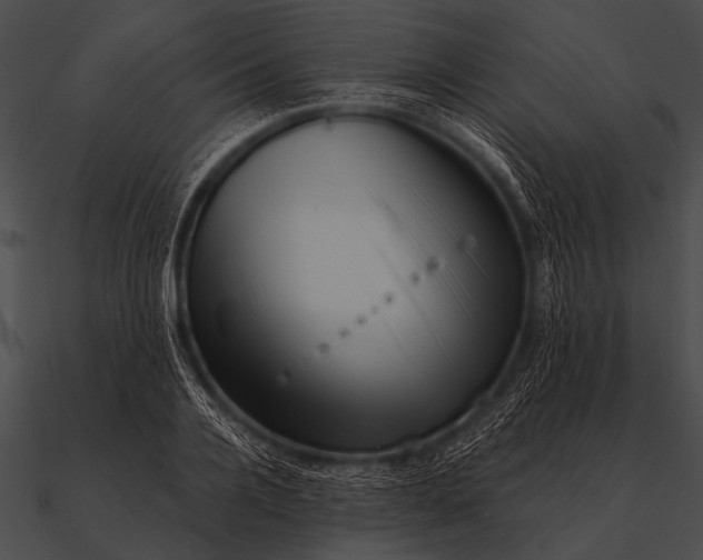 X0000090480936200708031121