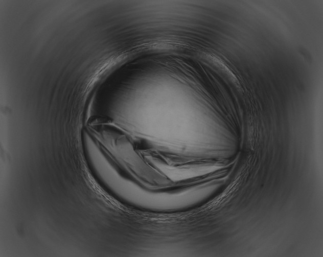 X0000090480938200708031121