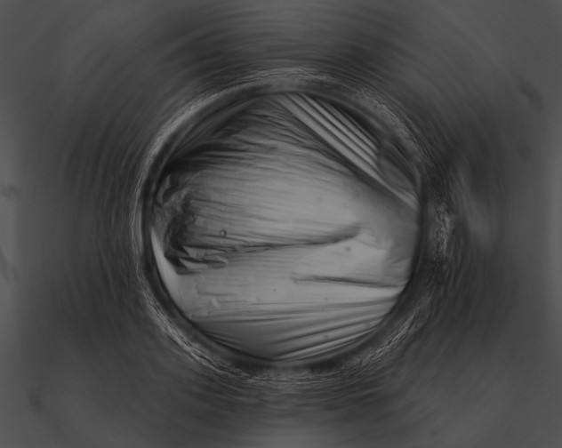X0000090480939200708031121