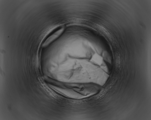 X0000090480940200708031121