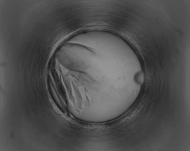 X0000090480941200708031121