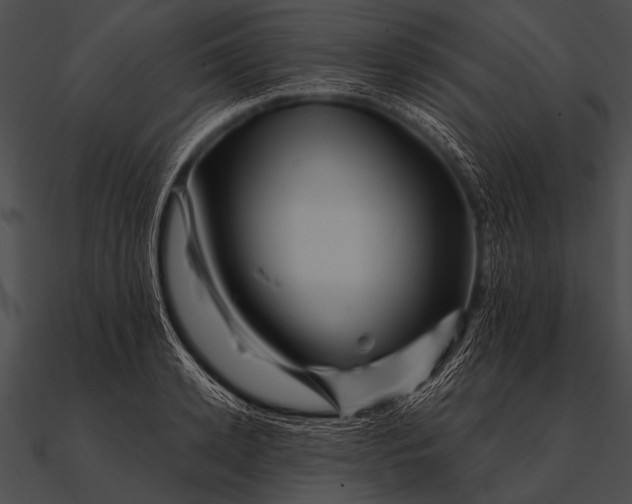 X0000090480942200708031121
