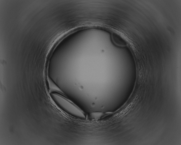 X0000090480943200708031121