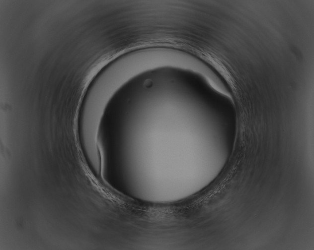 X0000090480944200708031121