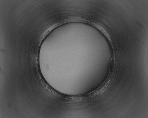 X0000090480954200708031122