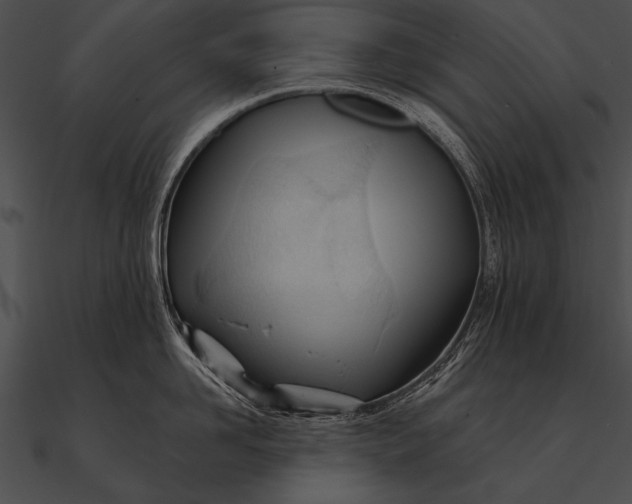 X0000090480958200708031122